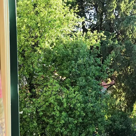 In The Center Appartement Split